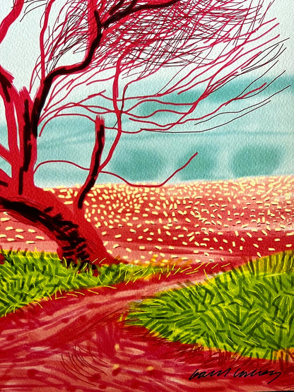 David Hockney Coa Lithograph Signed Op Hand Numbered Limited &^