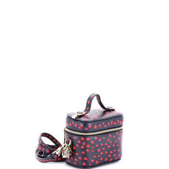 Christian Dior Lady Dior Vanity Case Printed Leather Micro