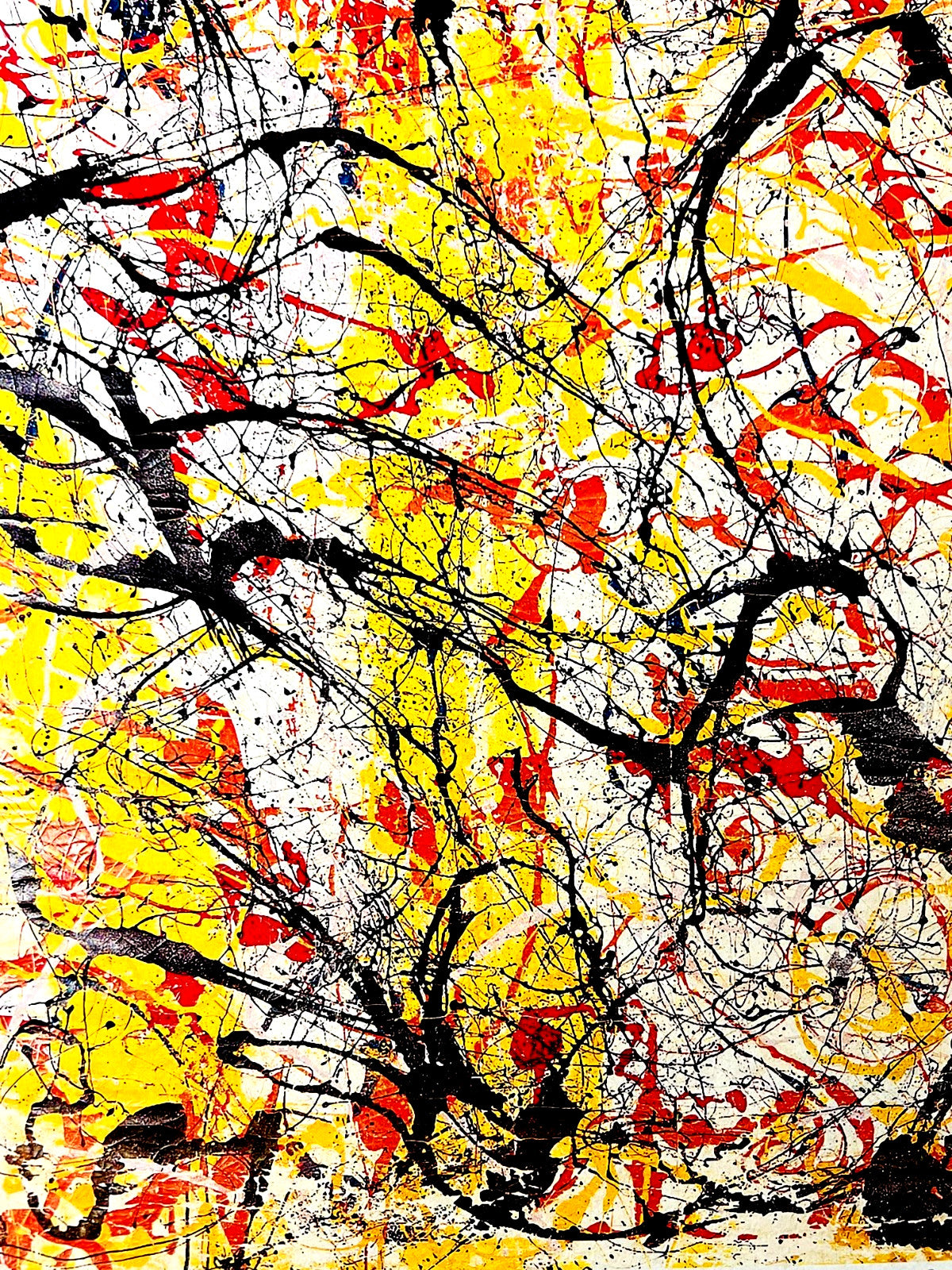 Jackson Pollock Action Painting Coa Signed Numbered In Pencil Limited Edition