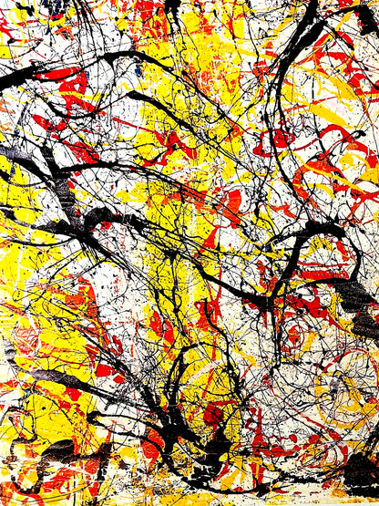 Jackson Pollock Action Painting Coa Signed Numbered In Pencil Limited Edition