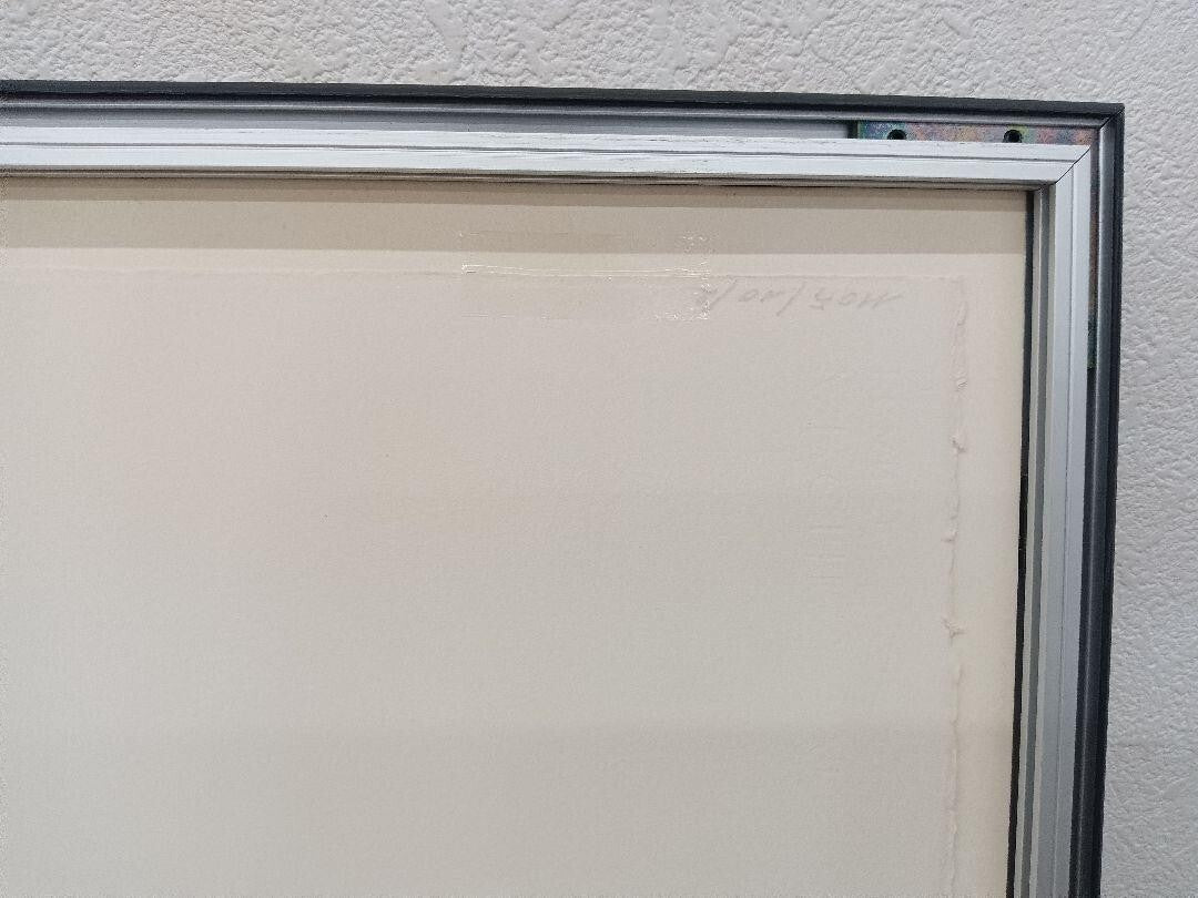 II Kim En Joong Signed Original Lithograph Print Framed ED225 Monde imaginaire