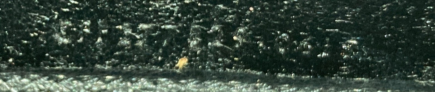 Saint Laurent Classic Monogram Crossbody Bag Grainy Leather Large