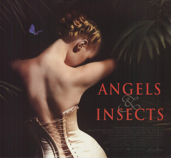 Artist Unknown Angels & Insects 