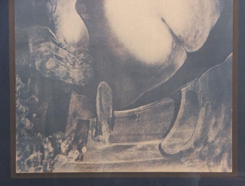 Ernst Fuchs Original Signed Silk Screen Print Salamander'S Shadow Austria Framed