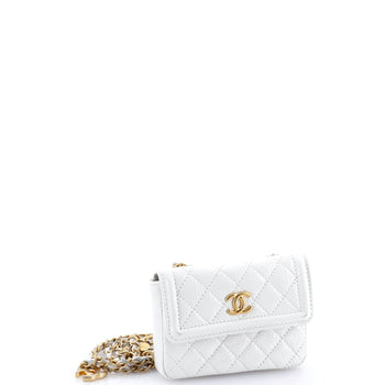 Chanel Cc Chain Belt Bag Quilted Shiny Aged Calfskin