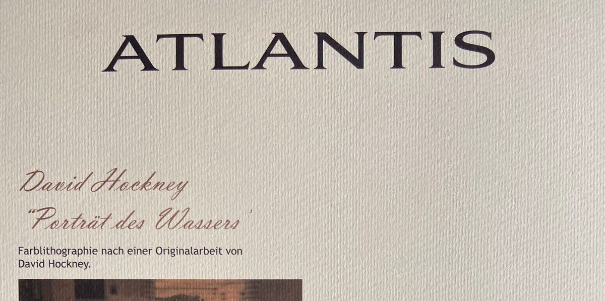 David Hockney Lithograph Hand-Made Coa Signed Pen Numbered 180