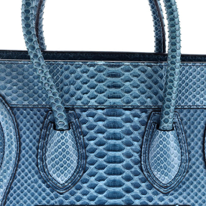 Celine Luggage Bag Python Micro