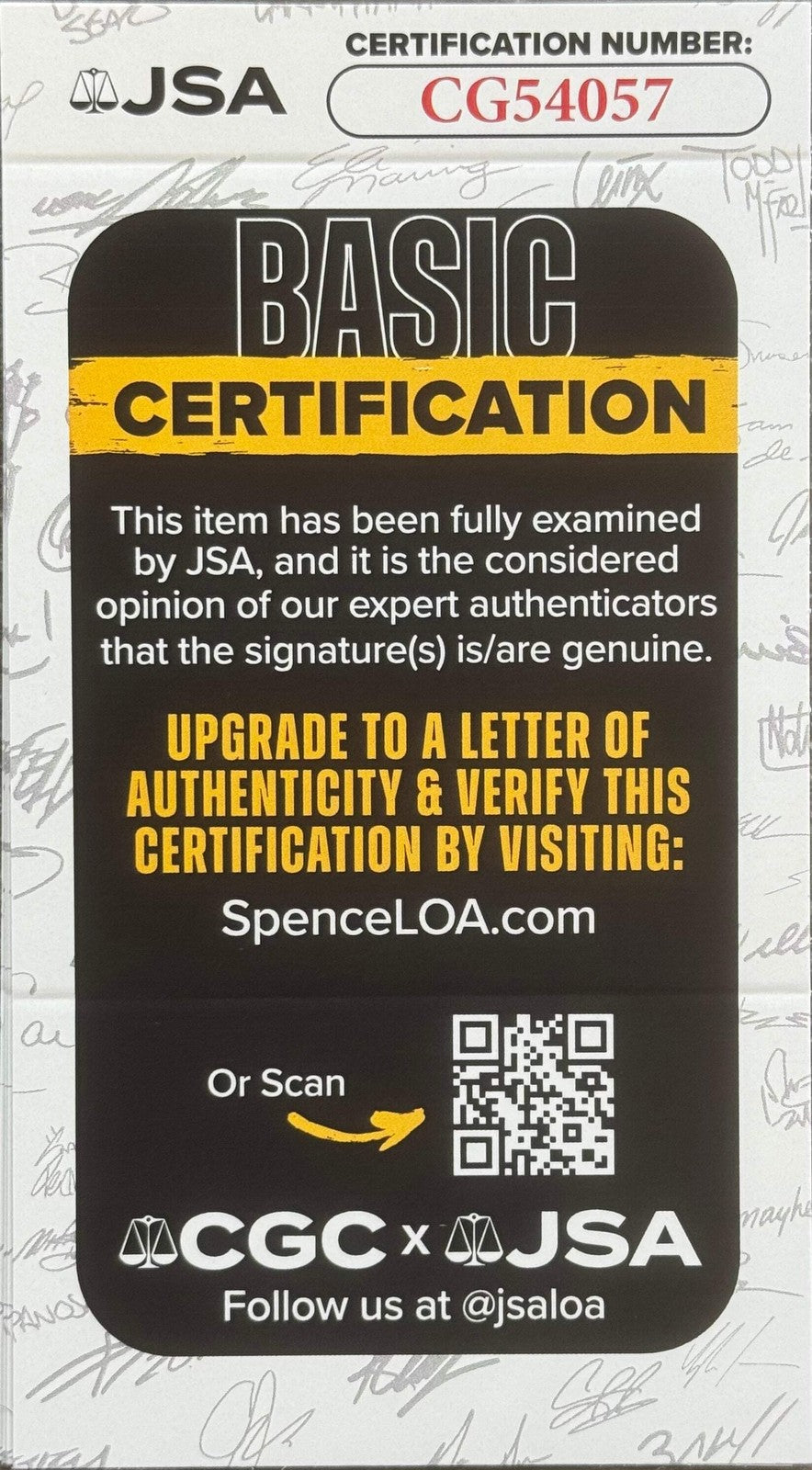 Kathy Ireland Autographed 8X10 Celebrity Photo