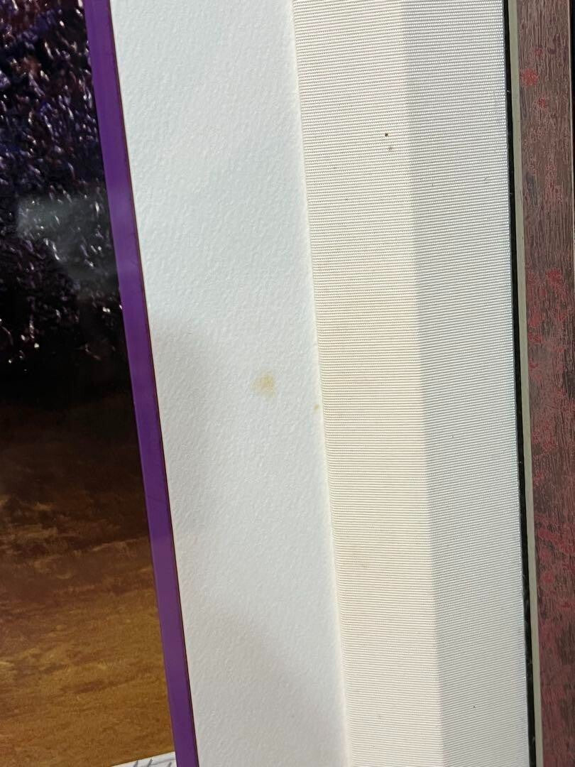 autographed and framed - Michel Battu "Escape" 61/ 100 Silkscreen Edition