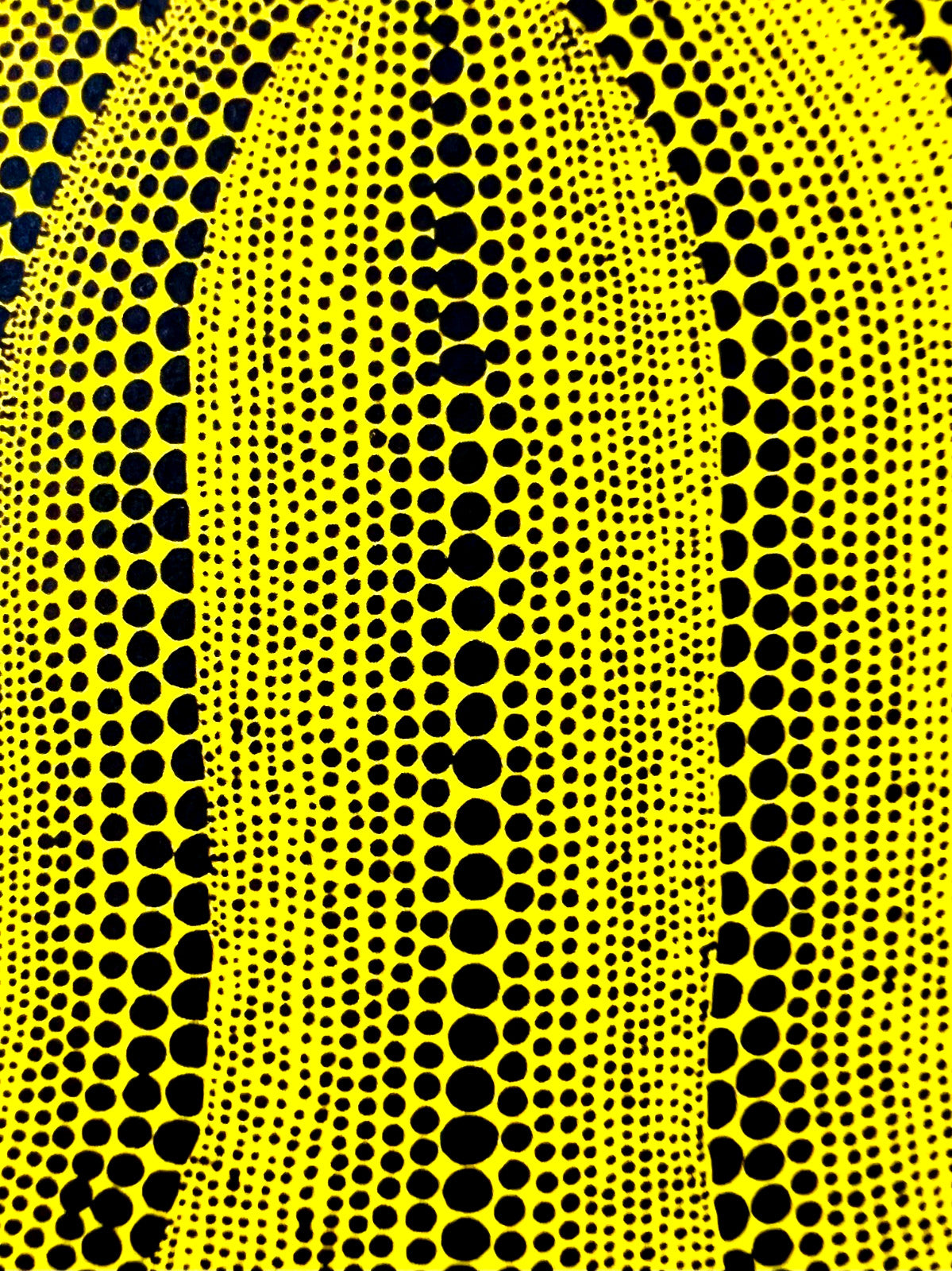 Yayoi Kusama Lithograph Mori Museum Coa Original Numbered Limited To 200