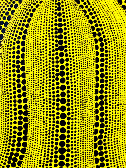 Yayoi Kusama Lithograph Mori Museum Coa Original Numbered Limited To 200