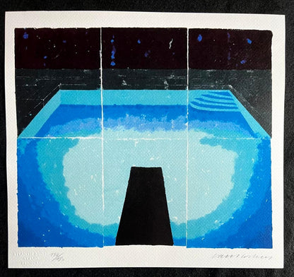 David Hockney Lithograph 'Midnight' Coa Signed (Hand Numbered Limited Edition)