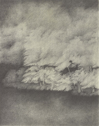Kenneth Nedorost Gables Waterway Signed " Lithograph