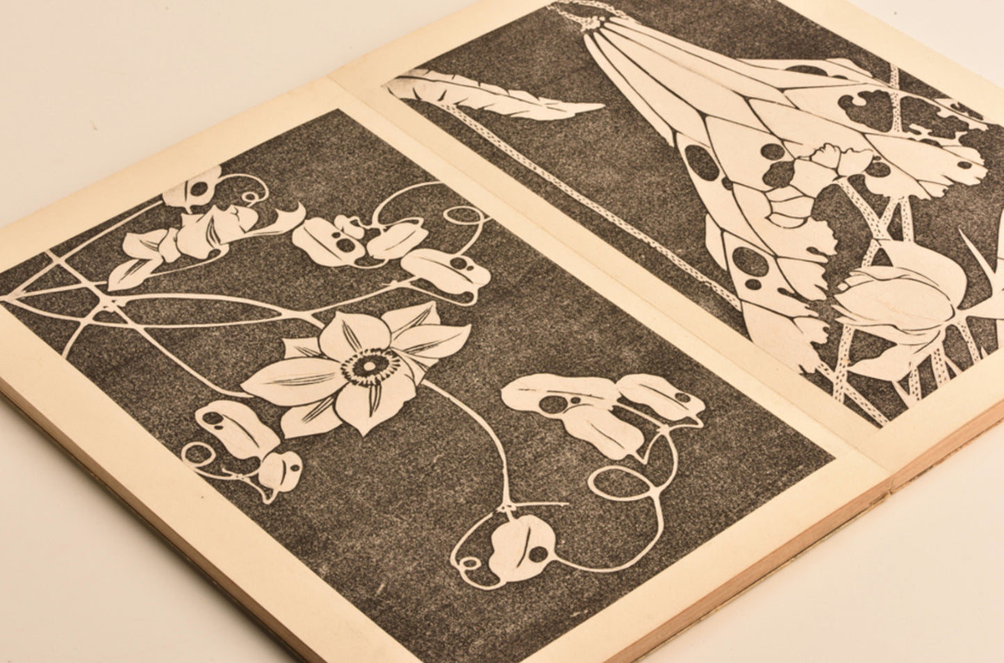 Ito Jakuchu Botanical Art Book Genpo Yoka 2
