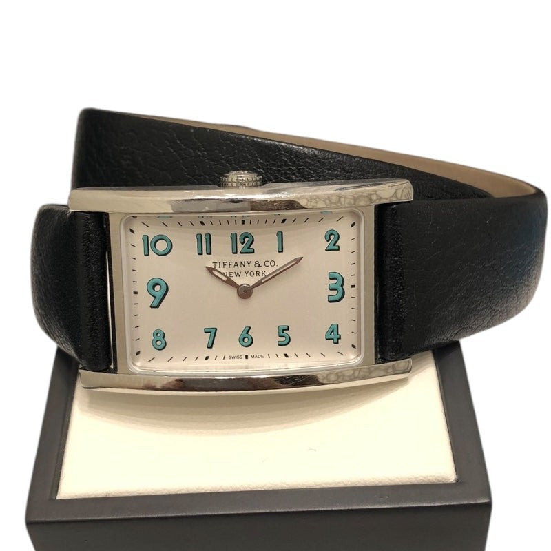 Tiffany&Co East West Mini 60557985