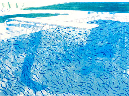 David Hockney Lithograph Coa Signed Numbered Limited 180