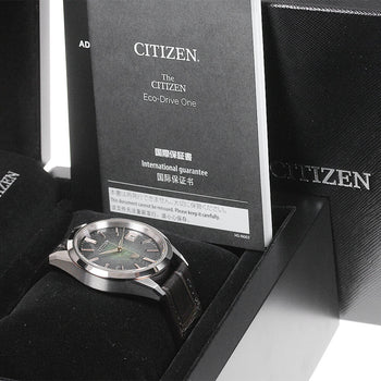 Citizen Aq4106-00W A060-A1Ct406 The Citizen Golden Eagle Watch Men
