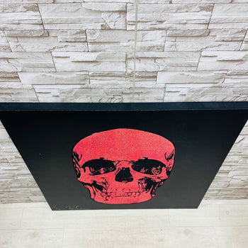 Shane Bowden - Scull Signed Original Art Painting Mixed Media On Canvas