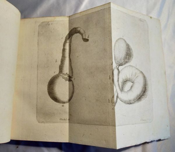 1751/1755 Acta Helvetica Vol.1-2 Basel Scientific Journal Bernoulli Engravings