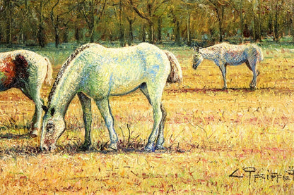 Valerie Pfeiffer Original Oil Painting -White Horses San Antonio De Areco Signed