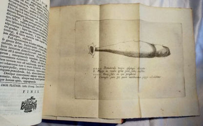 1751/1755 Acta Helvetica Vol.1-2 Basel Scientific Journal Bernoulli Engravings