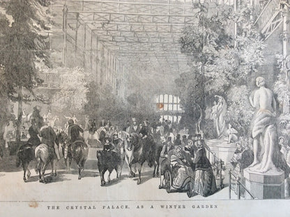 1851 Crystal Palace Winter Garden London Great Exhibition Original Engraving Iln