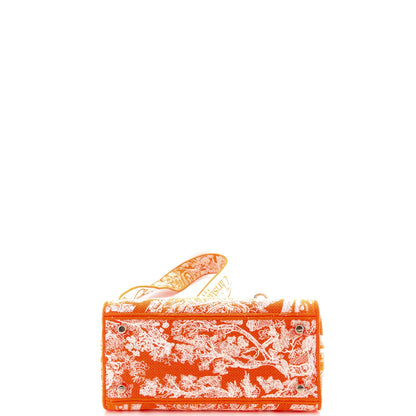 Christian Dior Toile De Jouy Lady D-Lite Bag Embroidered Canvas