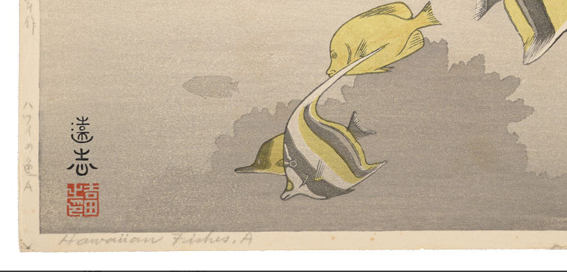 Hawaiian Fish A by Toshi Yoshida 1955 Original Woodblock Print Signed