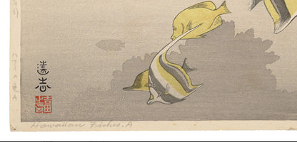 Hawaiian Fish A by Toshi Yoshida 1955 Original Woodblock Print Signed