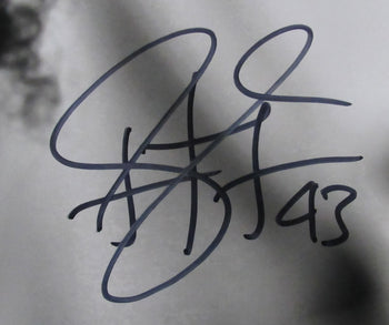 Troy Polamalu Signed/Autographed 16X20 Photo