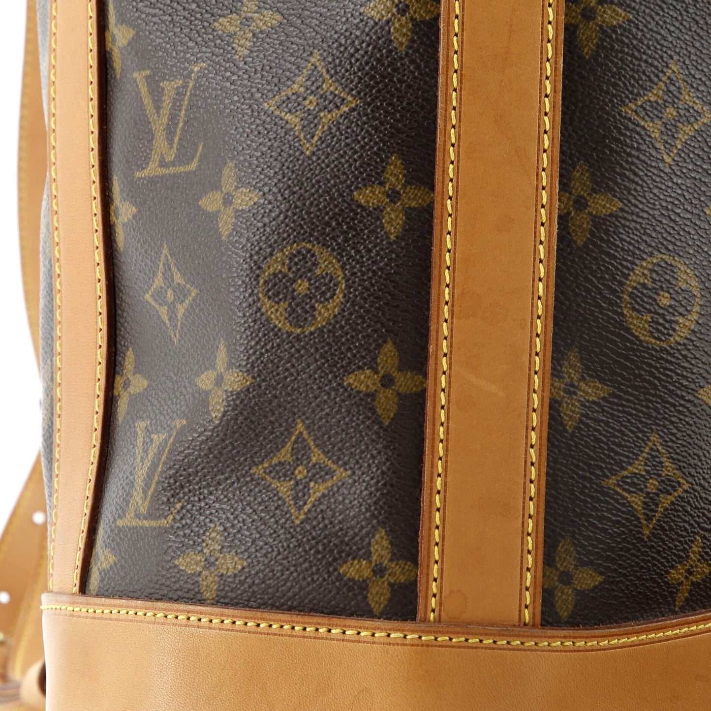 Louis Vuitton Randonnee Backpack Monogram Canvas Pm