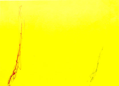 Dan Flavin Lithograph Coa Signed Op Numbered Pencil Stamp