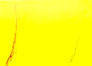 Dan Flavin Lithograph Coa Signed Op Numbered Pencil Stamp