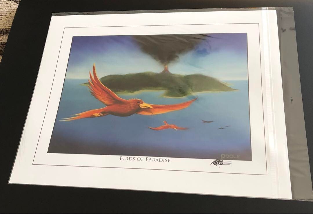 Birds Of Paradise Mtg Mark Poole Magic The Gathering Art Print