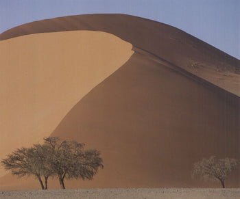 Archiv Kiedrowski Red Namib Desert, Namibia 