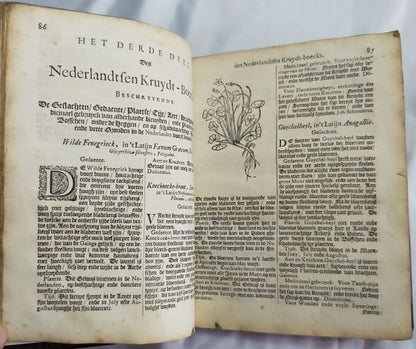 Petrus Nylandt De Nederlandtse Herbarius Kruydt-Boeck 1682 Dutch Herbal With Woo