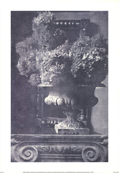 Esteban Chavez Hydrangea Urn 