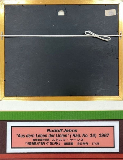 Rudolf Jahns Aus Dem Leben Der Linien 1967 Etching Signed 17/25 German Art