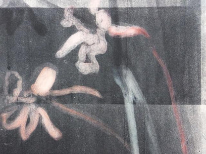 Mary Frank (Uk) Original Monoprint On Wove Signed In Pencil "Flowers Ii" 1984