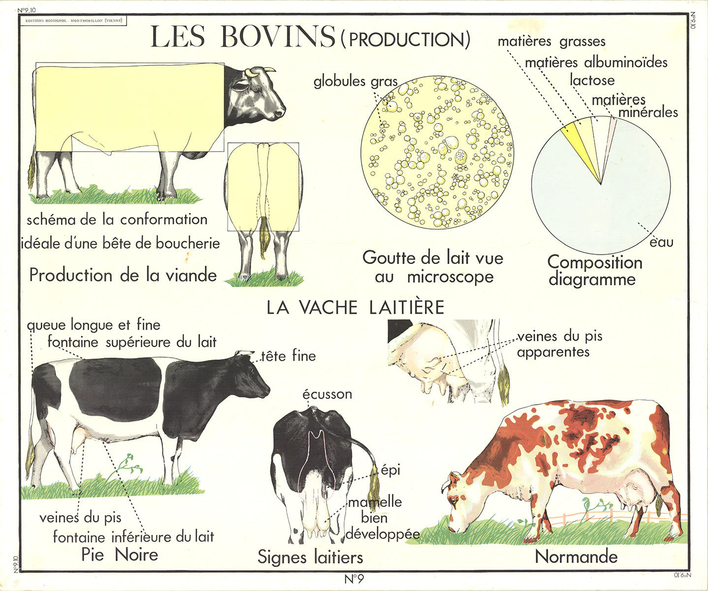 Emile Deyrolle Logement Des Bovins " Offset Lithograph Contempo