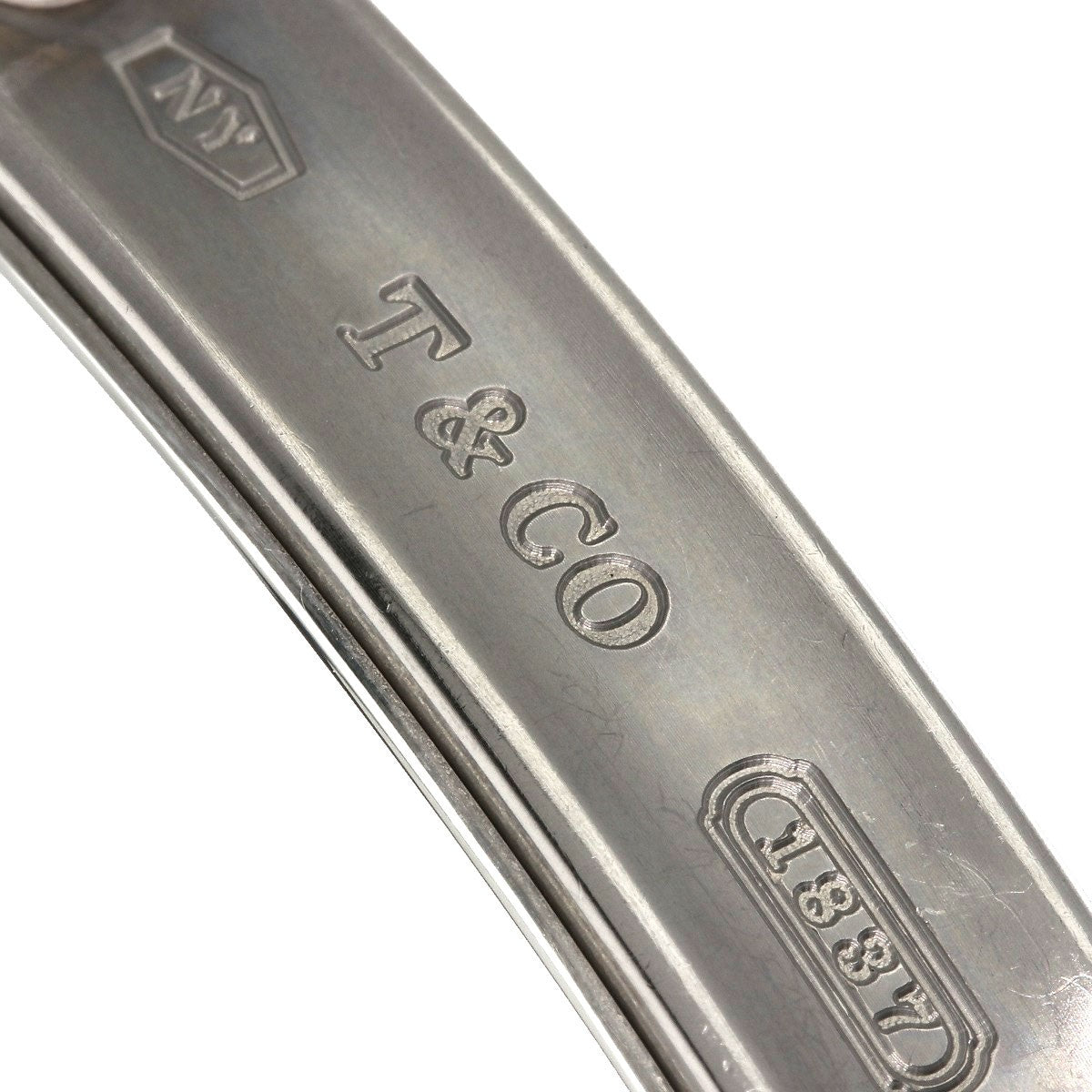 Titanium TIFFANY&Co. plate Pendant top Silver