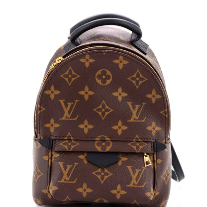 Louis Vuitton Palm Springs Backpack Monogram Canvas Mini
