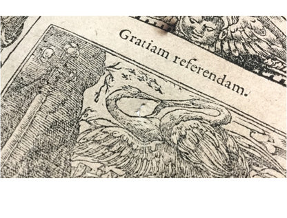 Andrea Alciati - Emblemata 16Th Century Coat Of Arms Illustration Book Latin