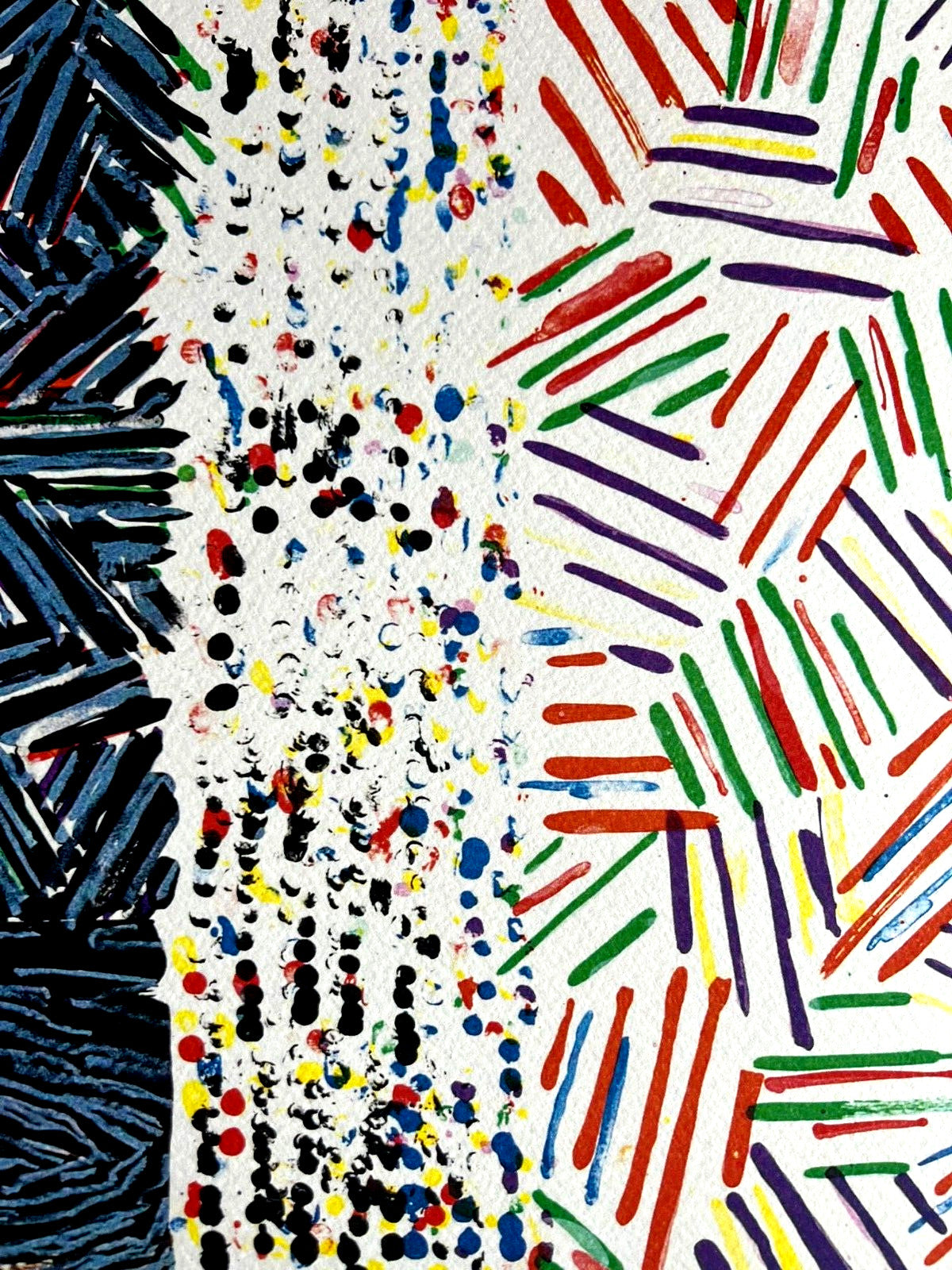 Jasper Johns Lithograph Coa Signed Op Numbered By Hand -180 Ex