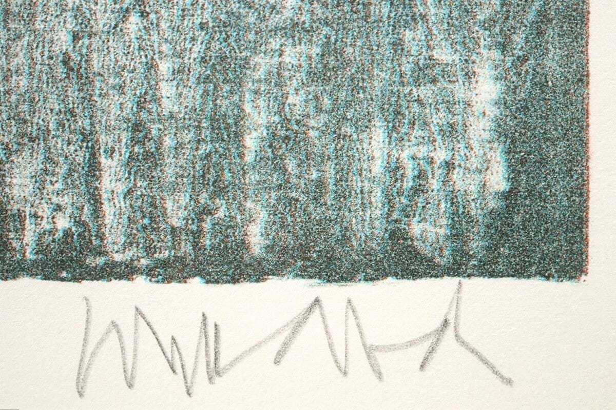 Paul Wunderlich Amazones Ed15 Original Lithograph Signed Framed Surrealism Art