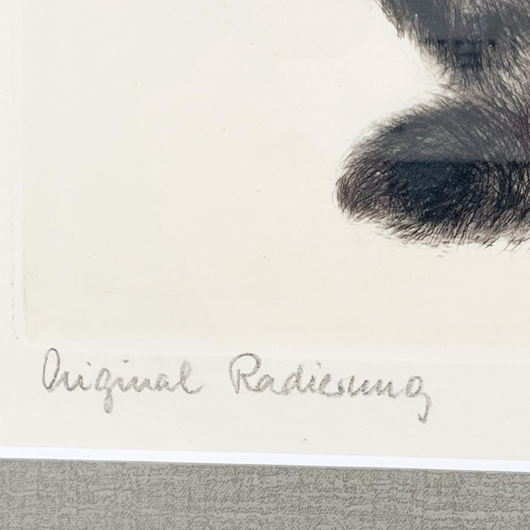 Kurt Meyer-Eberhardt Etching Cat Kitten Original Radierung Signed 4/97 Framed