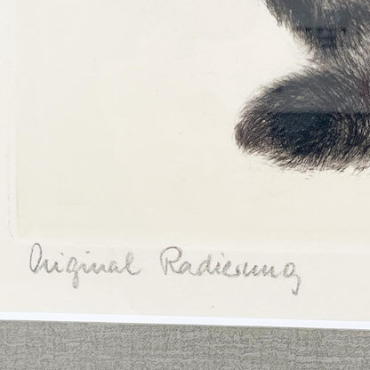 Kurt Meyer-Eberhardt Etching Cat Kitten Original Radierung Signed 4/97 Framed