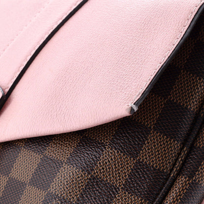 Louis Vuitton Clapton Handbag Damier And Leather Pm