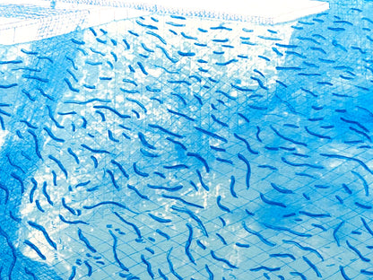 David Hockney Lithograph Coa Signed Numbered Limited 180