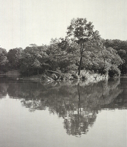 Joel Greenberg Central Park " Offset Lithograph Contemporary New Yo